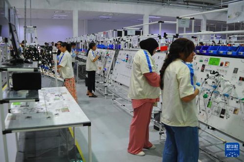 突尼斯工業(yè)部長(zhǎng) 期待與中國(guó)深化汽車行業(yè)合作與教育投資